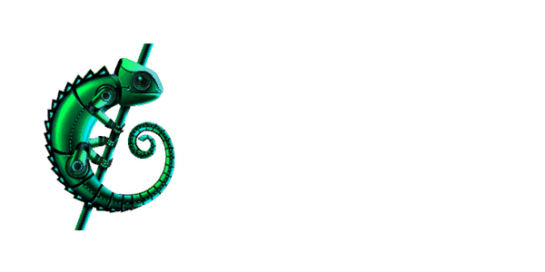 Logo Fast Web